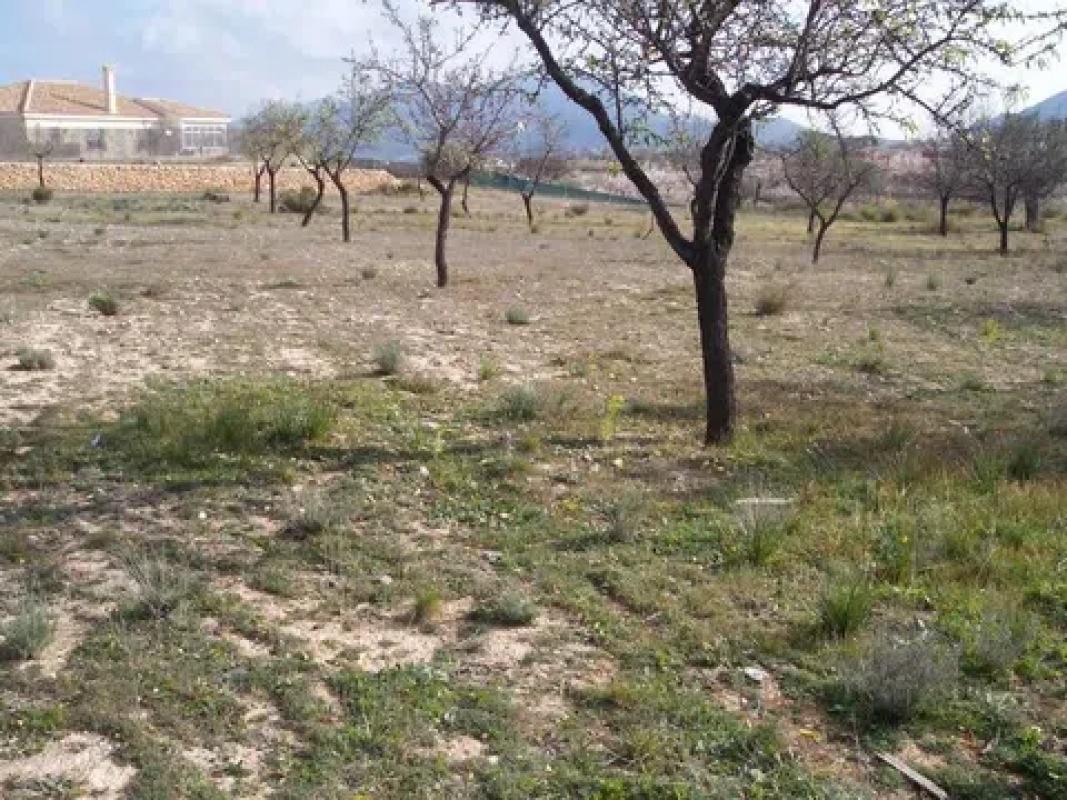 Terreno en venta en Hondón de los Frailes, Alicante photo 1