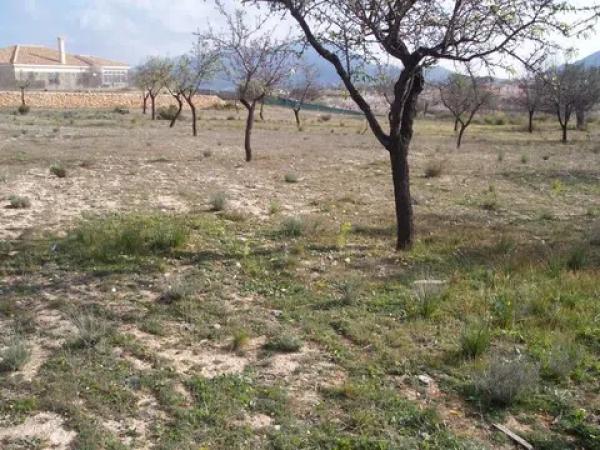 Terreno en Hondón de los Frailes photo