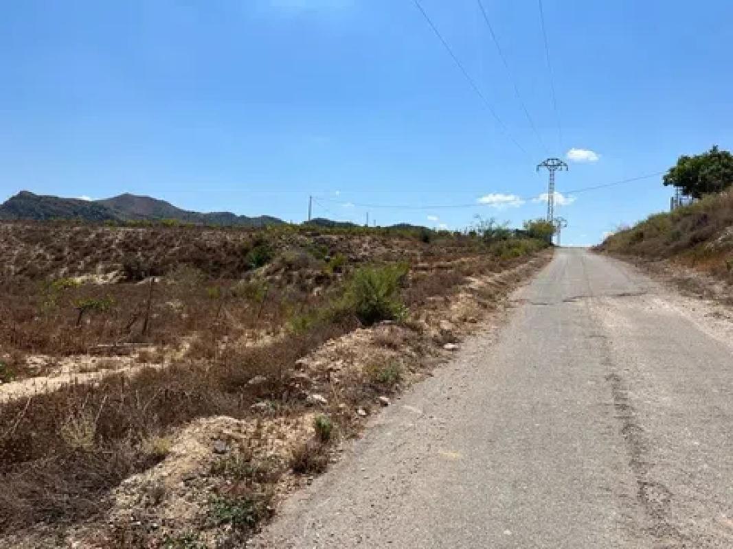 Land for sale in Monforte del Cid, Alicante photo 2