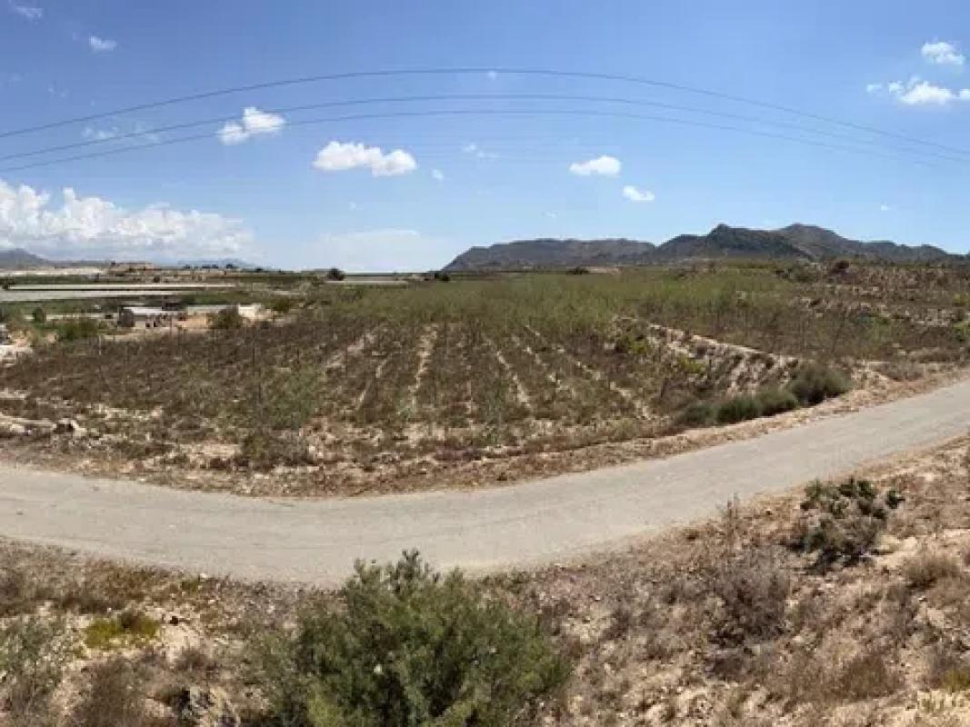 Land for sale in Monforte del Cid, Alicante photo 4