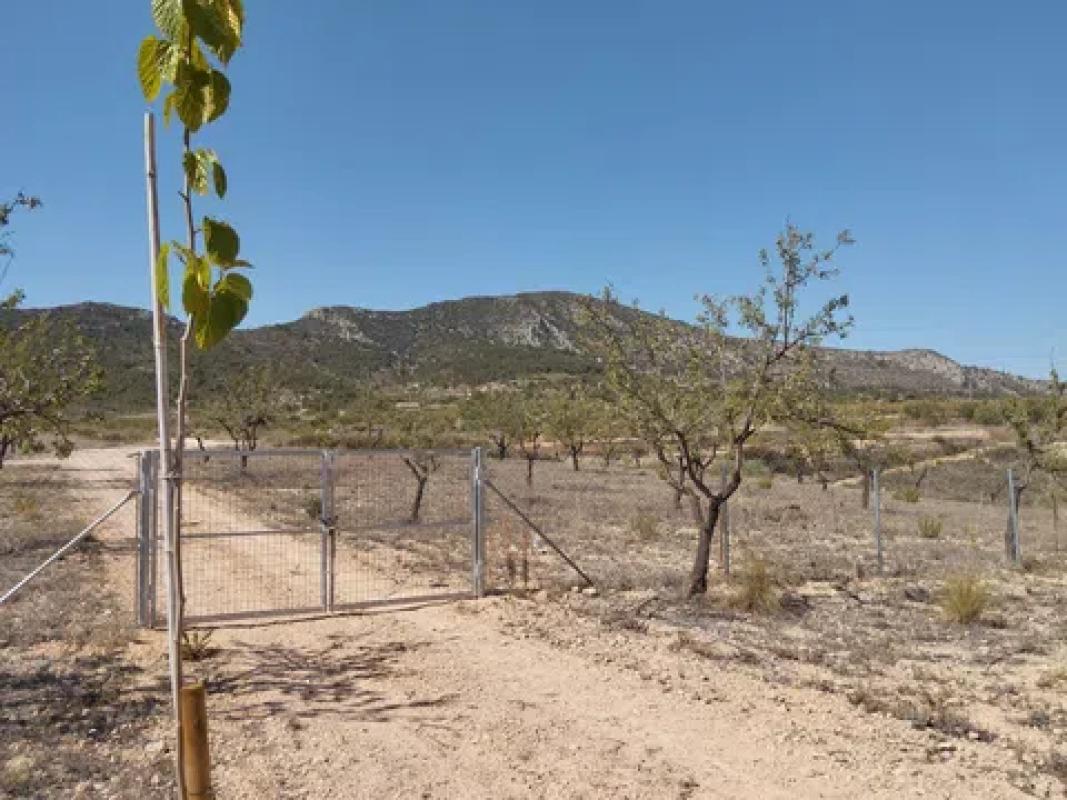 Terreno en venta en La Romana, Alicante photo 1