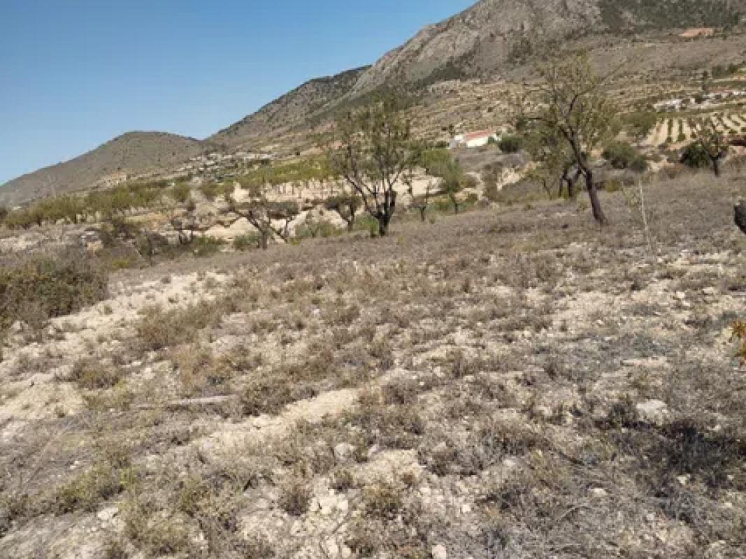 Terreno en venta en La Romana, Alicante photo 4