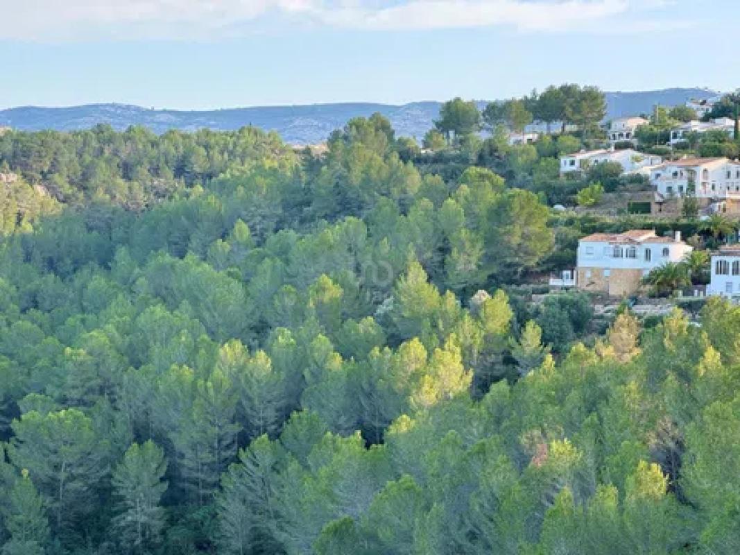 Land for sale in Benidoleig, Alicante photo 4