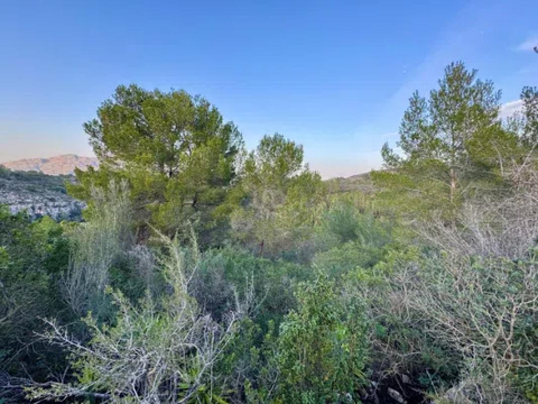 Land for sale in Benidoleig, Alicante photo 5