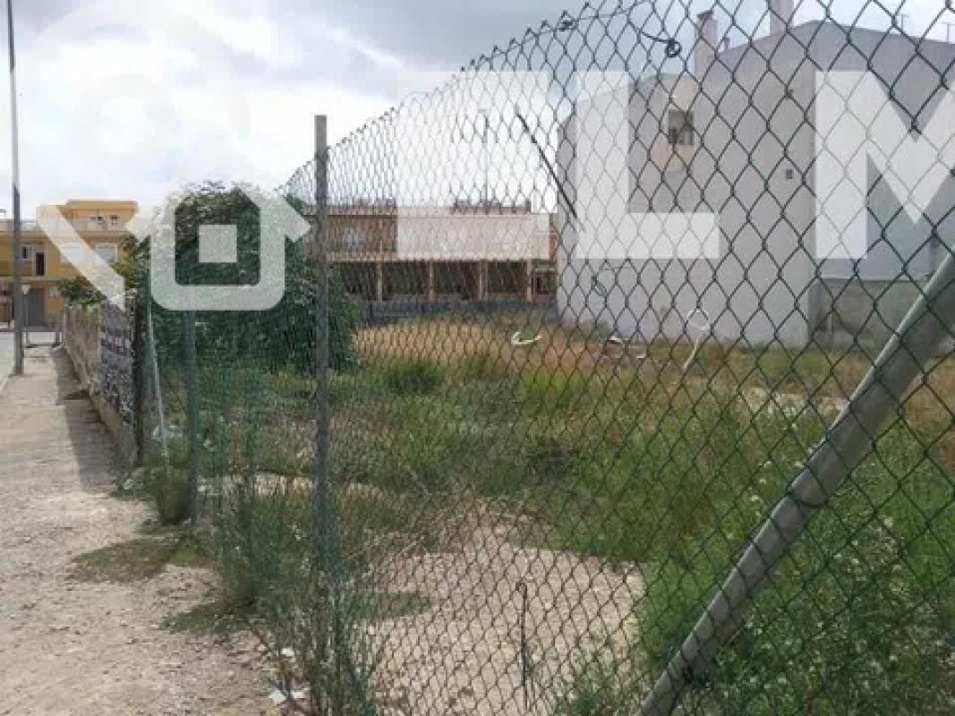 Terreno en venta en Catral, Alicante photo 3