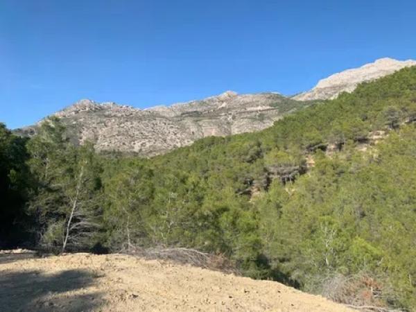 Terreno en Altea la Vella thumbnail 3