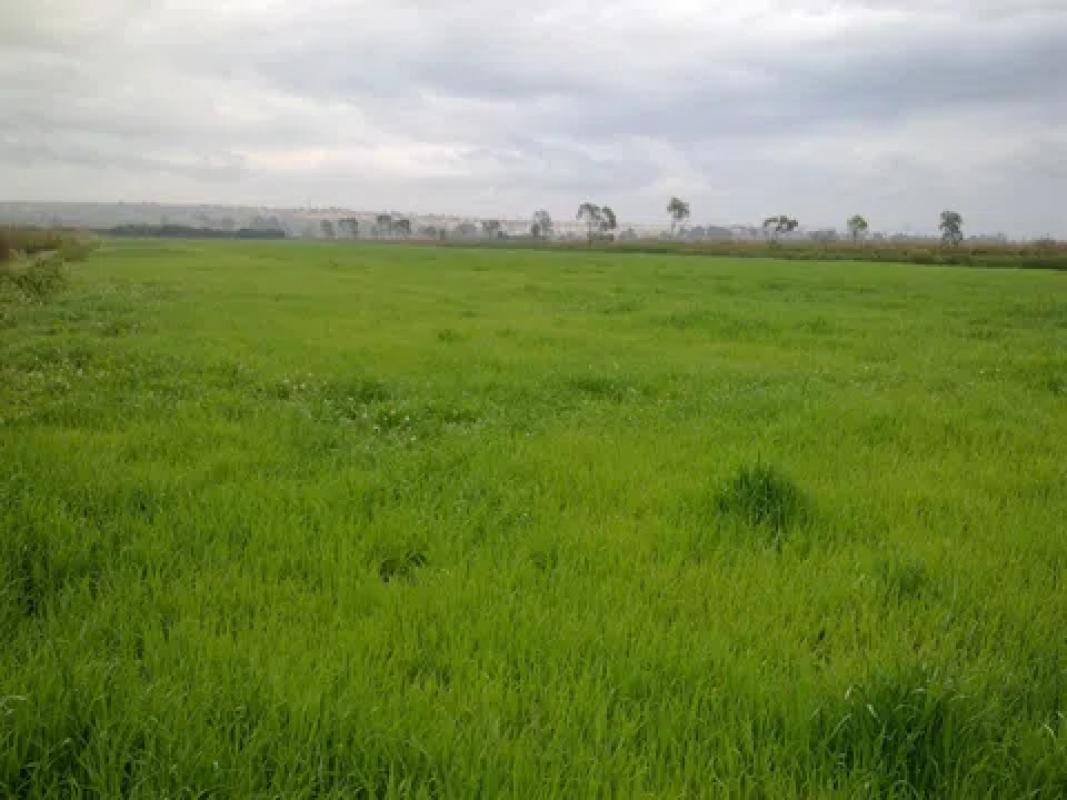 Terreno en venta en Elche / Elx, Alicante photo 1