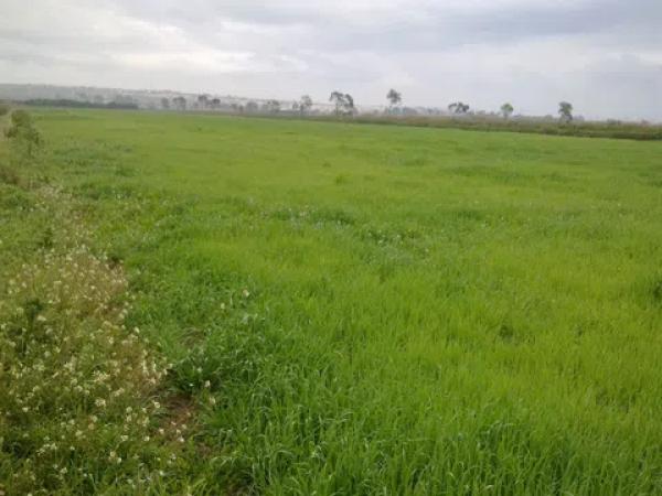 Terreno en carretera Dolores s/n photo 2