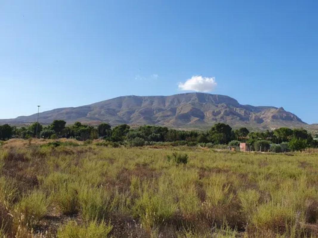 Land for sale in Monforte del Cid, Alicante photo 2