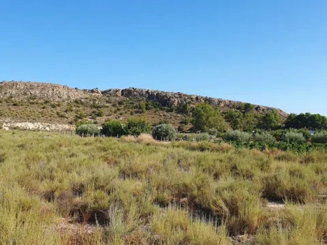 Land for sale in Monforte del Cid, Alicante photo 3