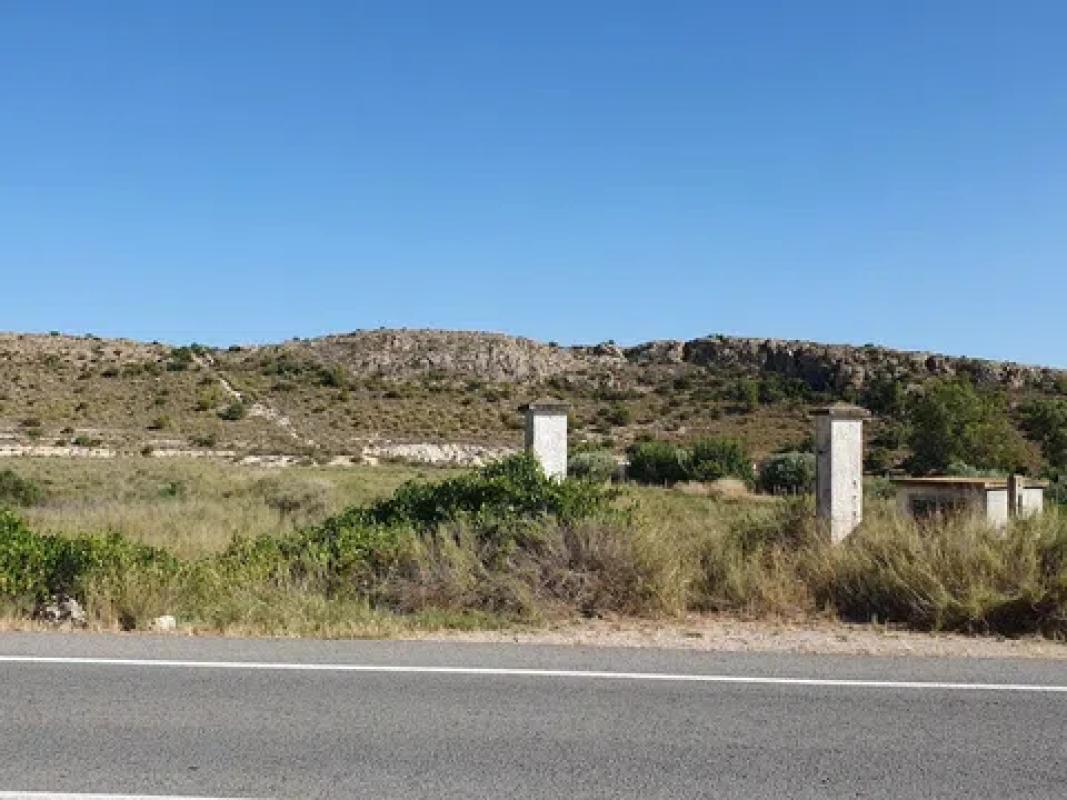 Land for sale in Monforte del Cid, Alicante photo 4
