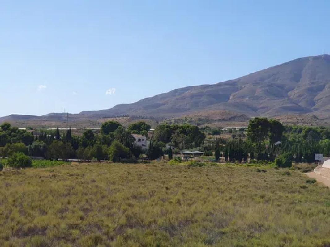 Land for sale in Monforte del Cid, Alicante photo 5
