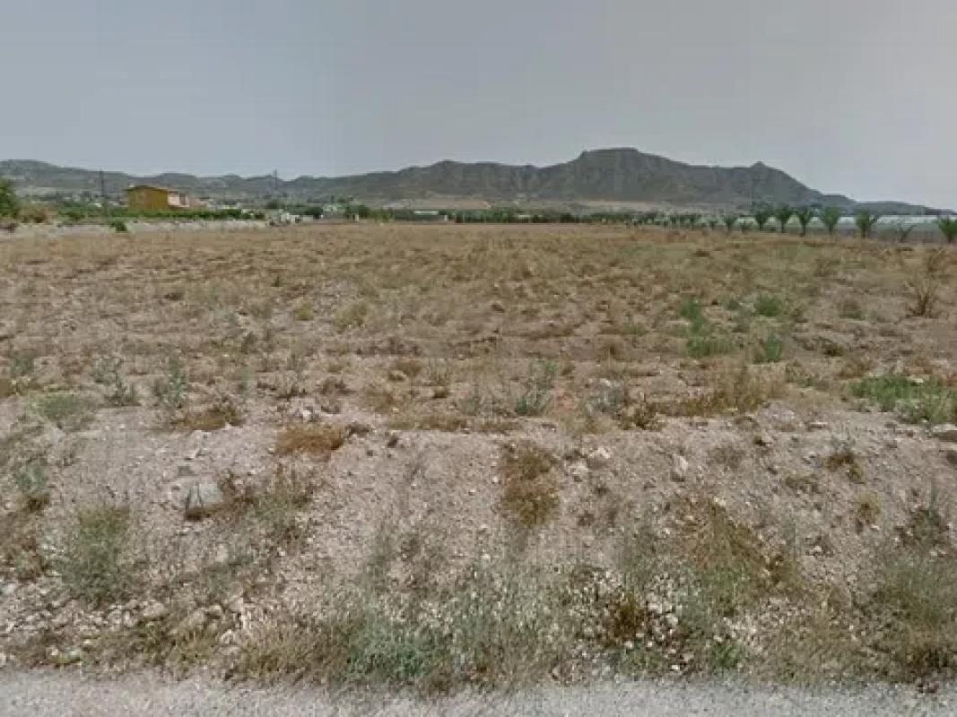 Land for sale in Aspe, Alicante photo 1
