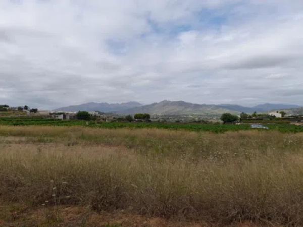 Terreno en camino de la Torreta de Canor s/n photo 3