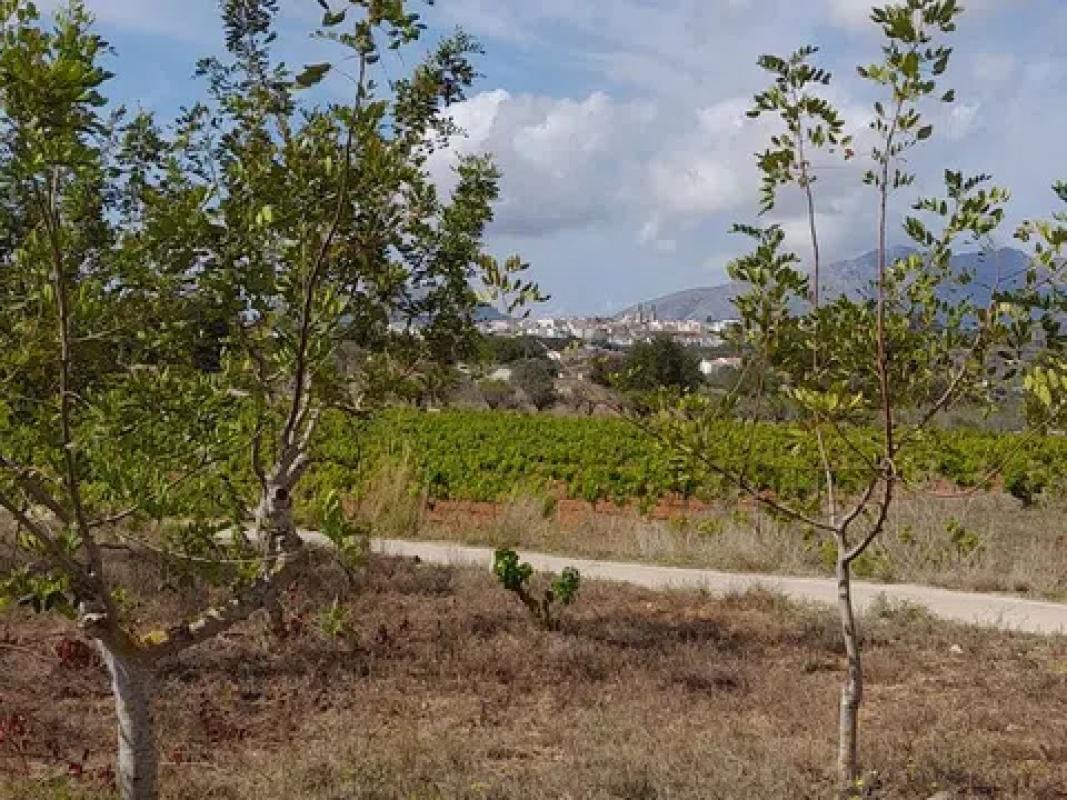 Terreno en venta en Benissa, Alicante photo 5