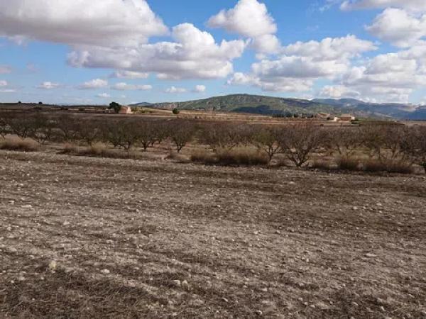 Terreno en La Caballusa, km 1 photo 1
