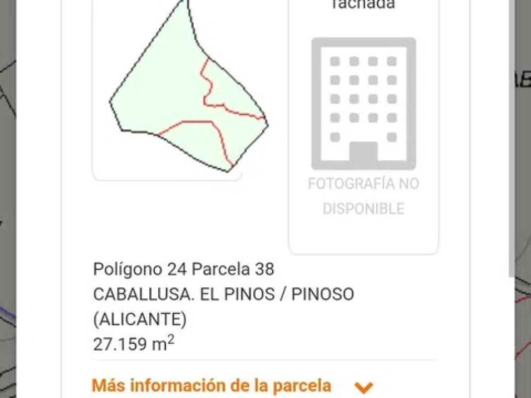 Terreno en venta en Pinoso, Alicante photo 2
