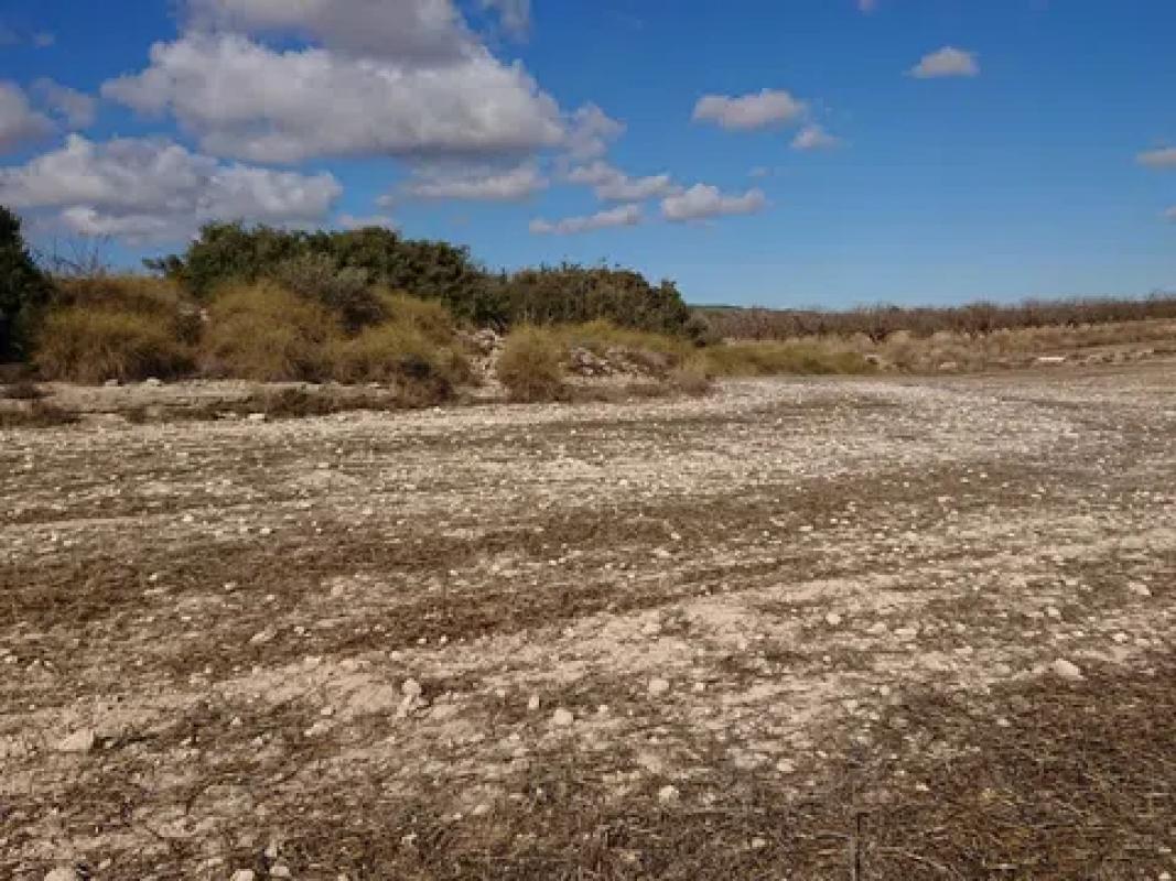 Terreno en venta en Pinoso, Alicante photo 2