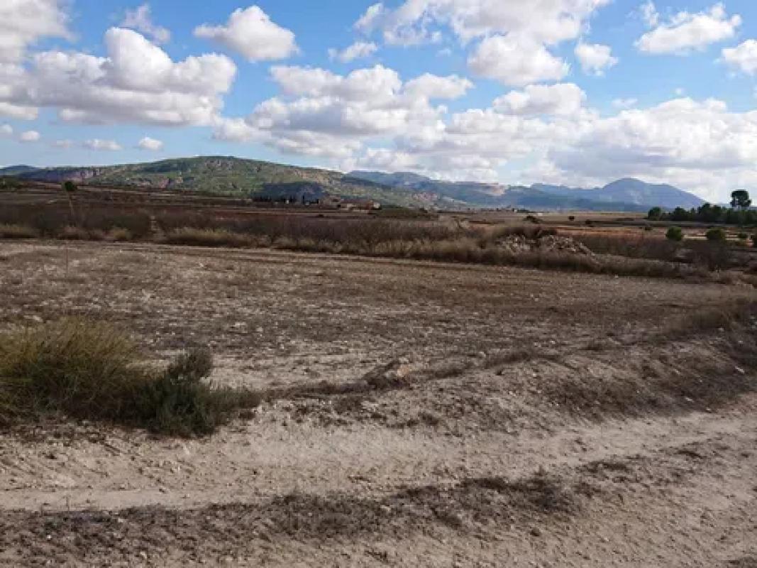 Terreno en venta en Pinoso, Alicante photo 3