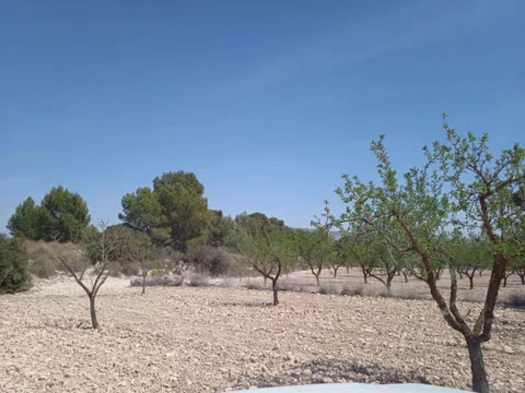 Terreno en venta en Pinoso, Alicante photo 4