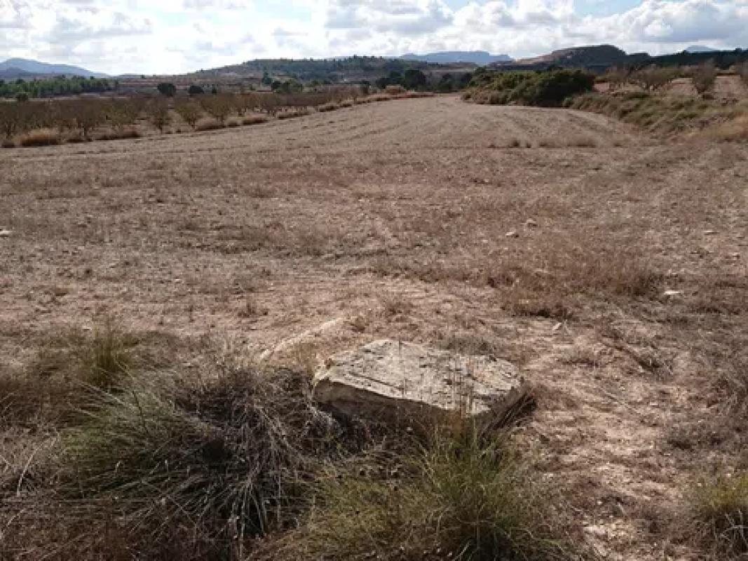 Terreno en venta en Pinoso, Alicante photo 4