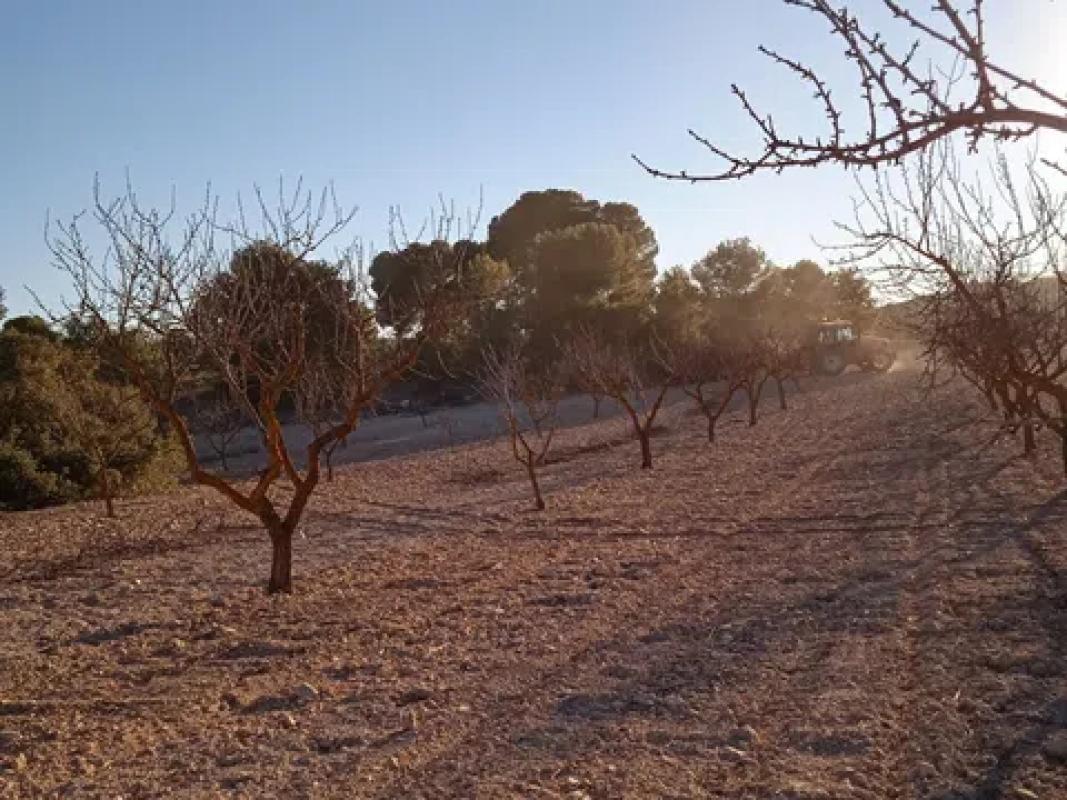 Terreno en venta en Pinoso, Alicante photo 5
