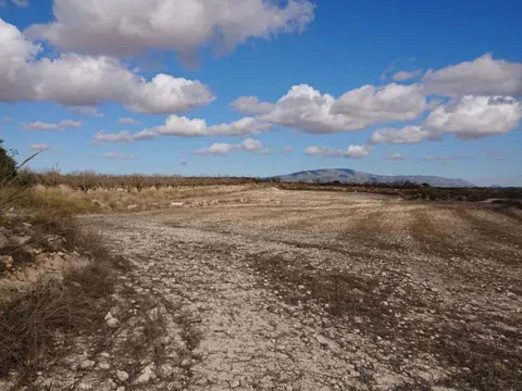 Terreno en venta en Pinoso, Alicante photo 5