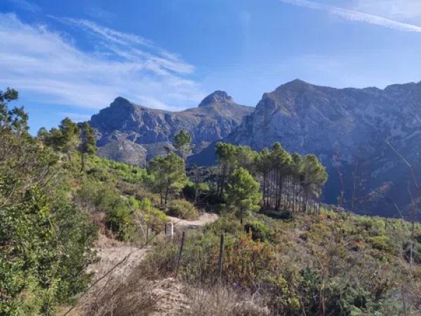 Terreno en Polígono Callosa d'En Sarria s/n photo 3