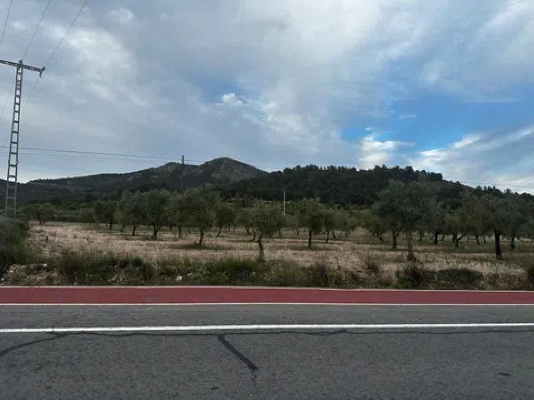 Land for sale in Biar, Alicante photo 1