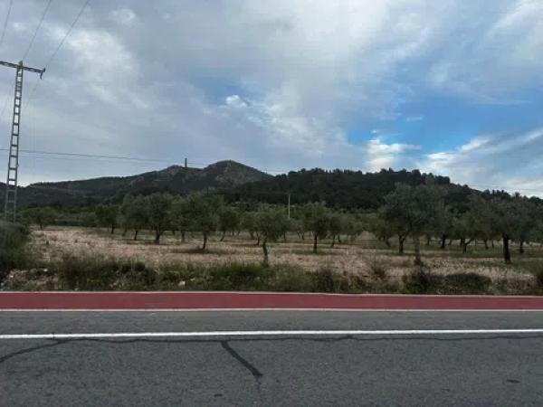 Terreno en puerto photo 1