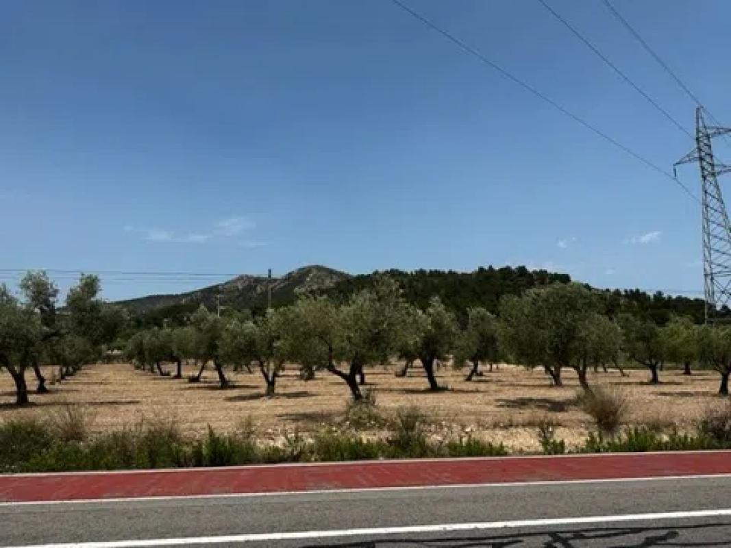 Land for sale in Biar, Alicante photo 2