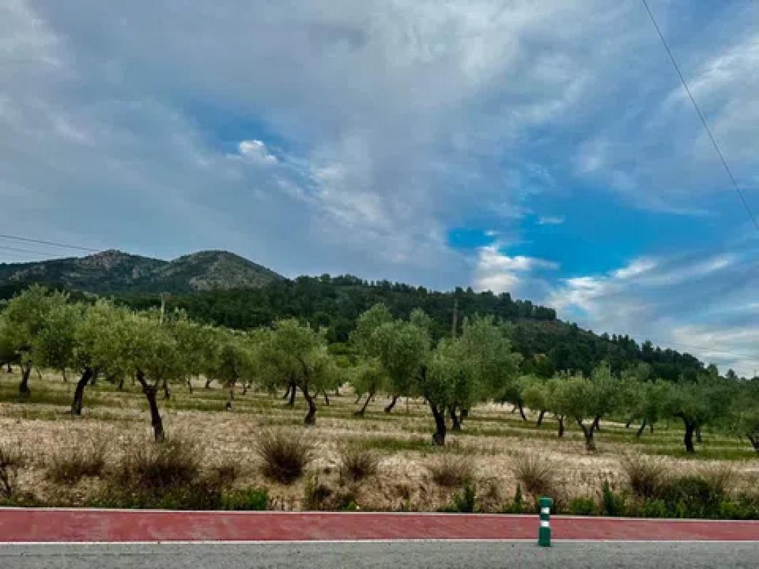 Land for sale in Biar, Alicante photo 3