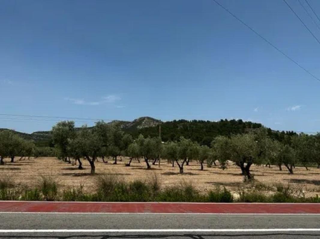 Land for sale in Biar, Alicante photo 5