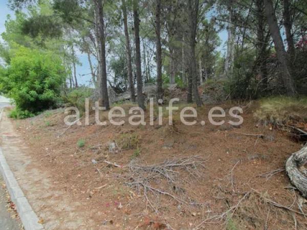 Terreno en calle Figuera photo 2