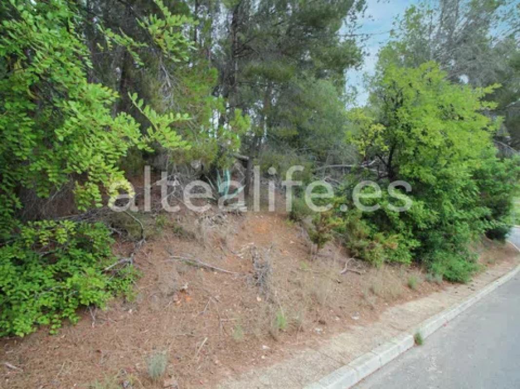 Участок земли на продажу в Алтея, Аликанте photo 4
