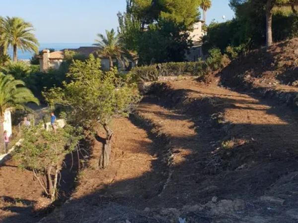 Terreno en calle Adelfas, 356 photo 1