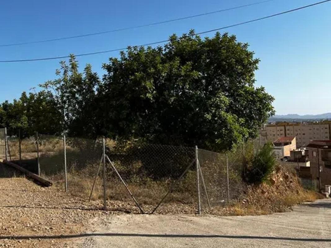 Terreno en venta en Redovan, Alicante photo 5