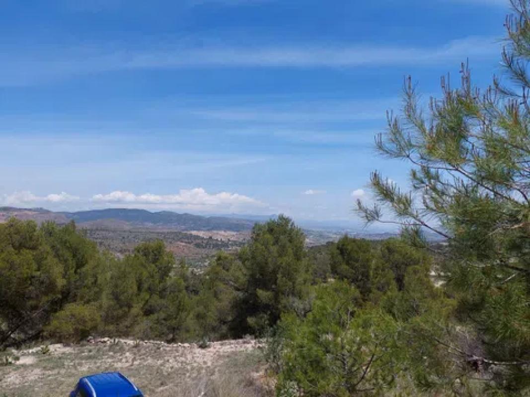 Terreno en venta en La Romana, Alicante photo 5
