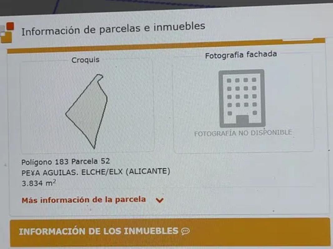 Terreno en venta en Elche / Elx, Alicante photo 3