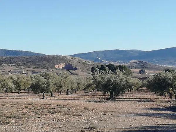 Terreno en seca creu, 1 polparcela photo 1