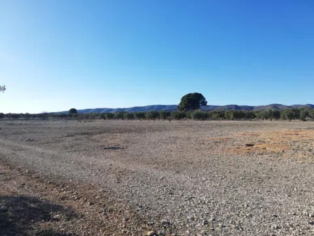 Terreno en venta en Cañada, Alicante photo 2