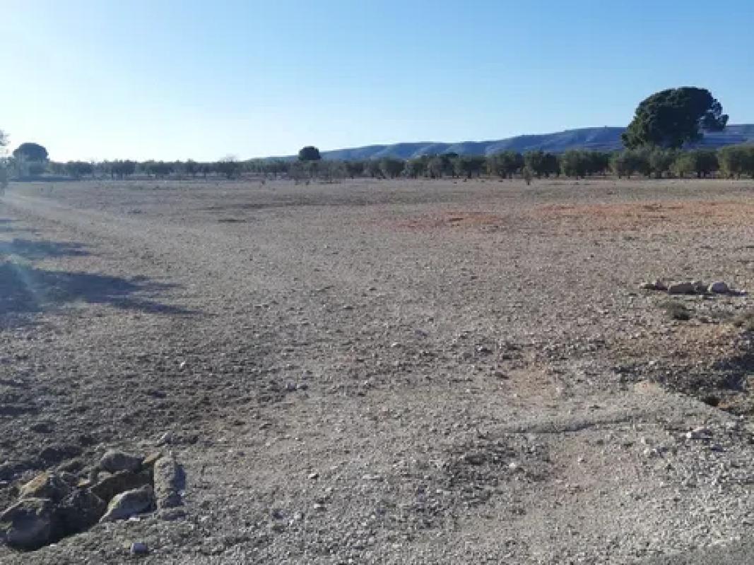 Terreno en venta en Cañada, Alicante photo 3