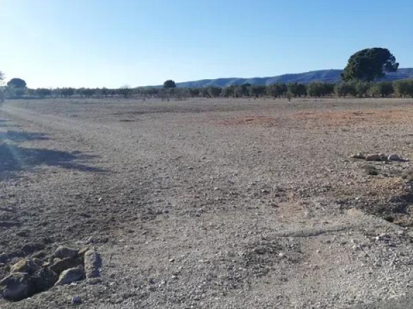 Terreno en seca creu, 1 polparcela thumbnail 2