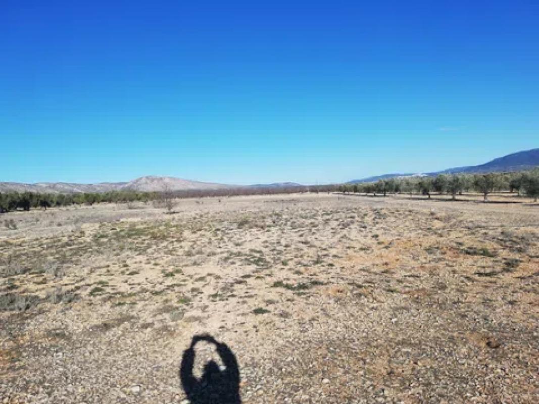 Terreno en venta en Cañada, Alicante photo 4
