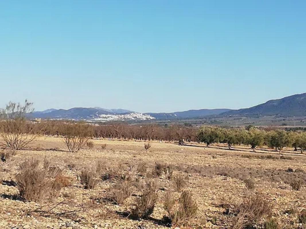 Terreno en venta en Cañada, Alicante photo 5
