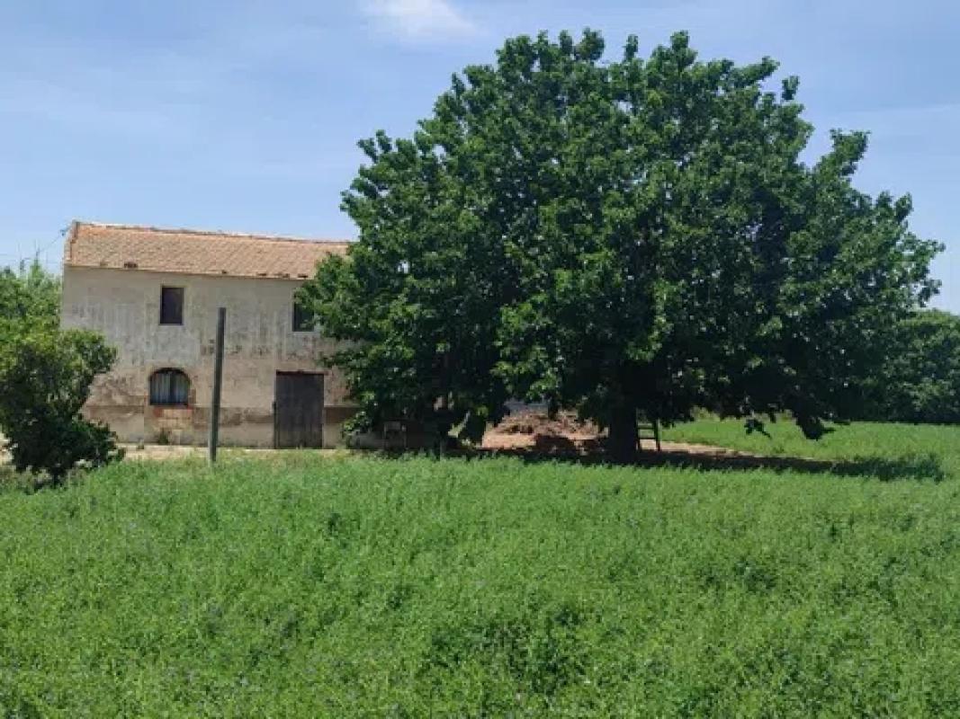 Участок земли на продажу в Гуардамар-дель-Сегура, Аликанте photo 3