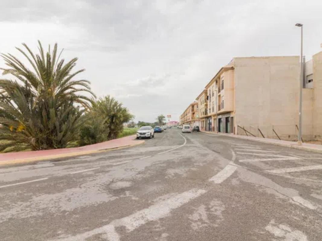 Land for sale in Catral, Alicante photo 4