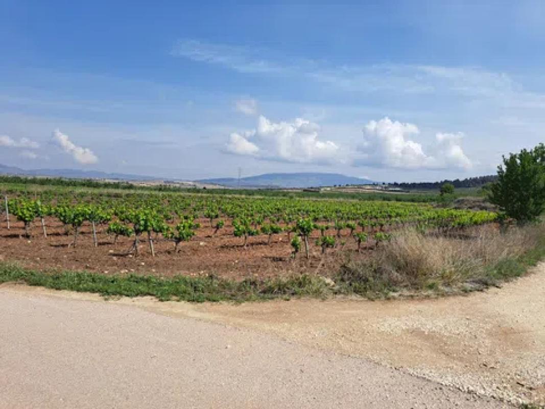 Działka na sprzedaż w Pinoso, Alicante photo 5