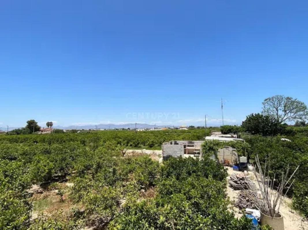 Działka na sprzedaż w Almoradí, Alicante photo 3
