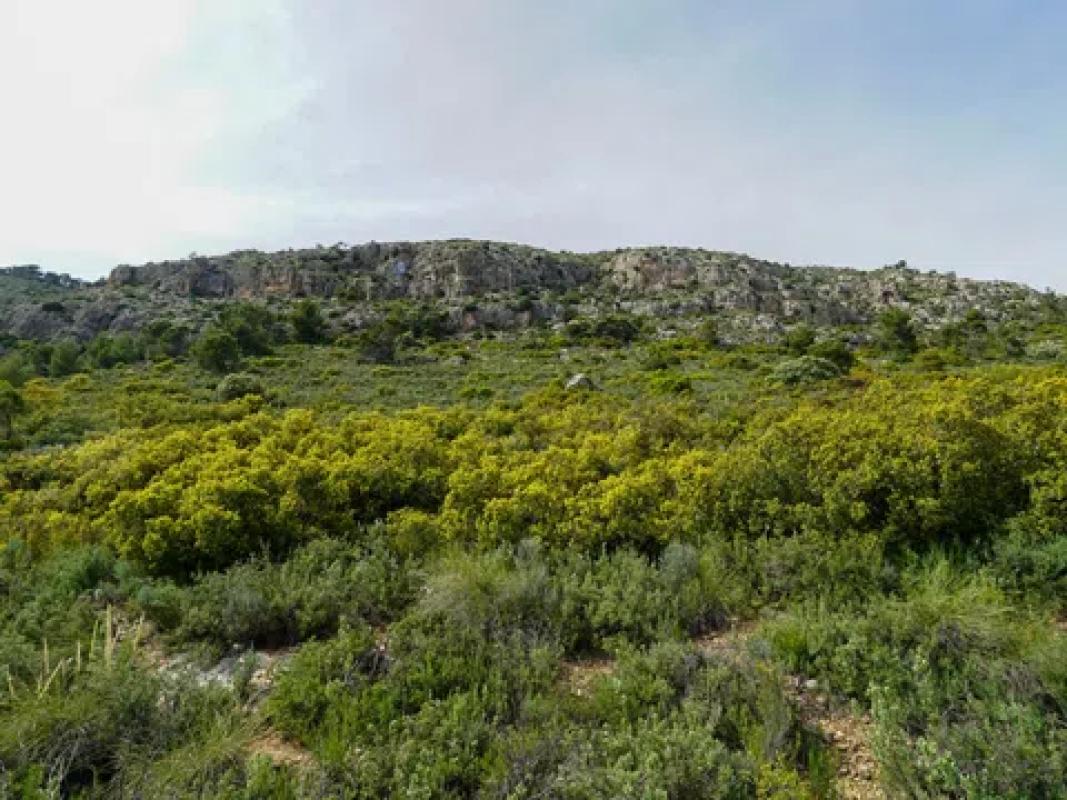 Terreno en venta en Ibi, Alicante photo 3